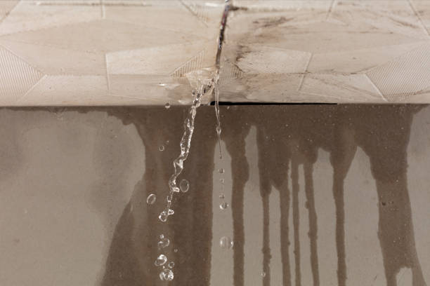 Professional Water Damage Inspection technician working in Emerson, NJ